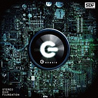 ＳＴＥＲＥＯ　ＤＩＶＥ　ＦＯＵＮＤＡＴＩＯＮ 「Ｇｅｎｅｓｉｓ」