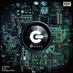 ＳＴＥＲＥＯ　ＤＩＶＥ　ＦＯＵＮＤＡＴＩＯＮ「Ｇｅｎｅｓｉｓ」