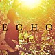 木村大「ＥＣＨＯ」