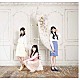 ＴｒｙＳａｉｌ「ｗｈｉｚ」