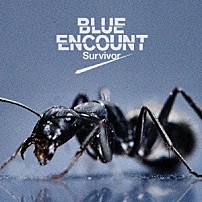 ＢＬＵＥ　ＥＮＣＯＵＮＴ 「Ｓｕｒｖｉｖｏｒ」