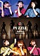 フェアリーズ「フェアリーズ　ＬＩＶＥ　ＴＯＵＲ　２０１５　ＰＵＺＺＬＥ」