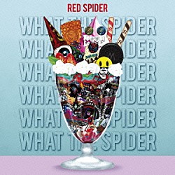 ＲＥＤ　ＳＰＩＤＥＲ「ＷＨＡＴ　ＴＨＥ　ＳＰＩＤＥＲ」