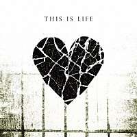 ＡＳＨ　ＤＡ　ＨＥＲＯ「 ＴＨＩＳ　ＩＳ　ＬＩＦＥ」