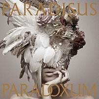 ＭＹＴＨ　＆　ＲＯＩＤ 「ＰＡＲＡＤＩＳＵＳ－ＰＡＲＡＤＯＸＵＭ」