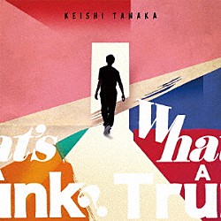 ＫＥＩＳＨＩ　ＴＡＮＡＫＡ「Ｗｈａｔ’ｓ　Ａ　Ｔｒｕｎｋ？」