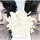 ＫｉｎＫｉ　Ｋｉｄｓ「道は手ずから夢の花」