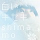 ｓｈｉｍａｍｏ「白いキセキ」