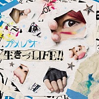 カメレオ 「生きづＬＩＦＥ！！」