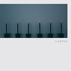 ＣＡＮＴＵＳ「オディエ」