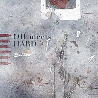 凛として時雨「 ＤＩＥ　ｍｅｅｔｓ　ＨＡＲＤ」