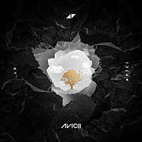 Ａｖｉｃｉｉ 「ウィズアウト・ユー」