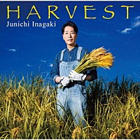 稲垣潤一 「ＨＡＲＶＥＳＴ」