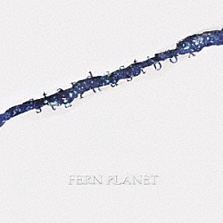 ＦＥＲＮ　ＰＬＡＮＥＴ「ｓｔａｒｄｕｓｔｂｏｘ」