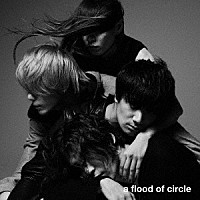 ａ　ｆｌｏｏｄ　ｏｆ　ｃｉｒｃｌｅ「 ａ　ｆｌｏｏｄ　ｏｆ　ｃｉｒｃｌｅ」