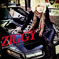 ＺＩＧＧＹ 「君の笑顔より美しい花を知らない」