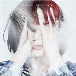 Ｐｌａｓｔｉｃ　Ｔｒｅｅ「インサイドアウト」