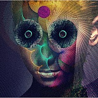 ＤＩＲ　ＥＮ　ＧＲＥＹ 「ＴＨＥ　ＩＮＳＵＬＡＴＥＤ　ＷＯＲＬＤ」