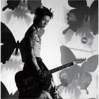 ＭＩＹＡＶＩ 「ＳＡＭＵＲＡＩ　ＳＥＳＳＩＯＮＳ　ｖｏｌ．３　－　Ｗｏｒｌｄｓ　Ｃｏｌｌｉｄｅ　－」