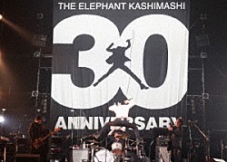 エレファントカシマシ「３０ｔｈ　ＡＮＮＩＶＥＲＳＡＲＹ　ＴＯＵＲ　“ＴＨＥ　ＦＩＧＨＴＩＮＧ　ＭＡＮ”　ＦＩＮＡＬ　ＳＡＩＴＡＭＡ　ＳＵＰＥＲ　ＡＲＥＮＡ」