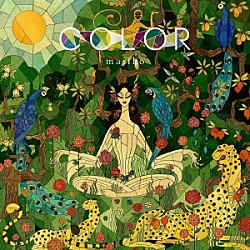 ｍａｊｉｋｏ「ＣＯＬＯＲ（限定盤）」