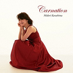 辛島美登里「Ｃａｒｎａｔｉｏｎ」