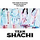 ＴＥＡＭ　ＳＨＡＣＨＩ「ＴＥＡＭ　ＳＨＡＣＨＩ」