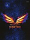 Ｂ’ｚ「Ｂ’ｚ　ＬＩＶＥ－ＧＹＭ　Ｐｌｅａｓｕｒｅ　２０１８　－ＨＩＮＯＴＯＲＩ－」