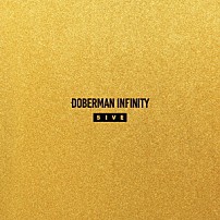 ＤＯＢＥＲＭＡＮ　ＩＮＦＩＮＩＴＹ 「５ＩＶＥ」