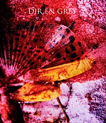 ＤＩＲ　ＥＮ　ＧＲＥＹ「ＦＲＯＭ　ＤＥＰＲＥＳＳＩＯＮ　ＴＯ　＿＿＿＿＿＿＿＿　［ｍｏｄｅ　ｏｆ　１６－１７］」