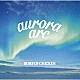 ＢＵＭＰ　ＯＦ　ＣＨＩＣＫＥＮ「ａｕｒｏｒａ　ａｒｃ」