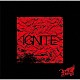 Ｒｏｙｚ「ＩＧＮＩＴＥ」