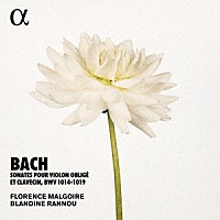 （クラシック）「 Ｊ．Ｓ．バッハ：ヴァイオリン・ソナタ集」