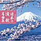 （Ｖ．Ａ．） 伍代夏子 藤あや子 石原詢子 山本みゆき 永井みゆき「永久保存盤　日本の演歌　名曲集」