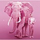 米倉利紀「ｐｉｎｋ　ＥＬＥＰＨＡＮＴ」