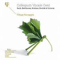 （クラシック）「 コレギウム・ヴォカーレ・ヘント　５０周年ＢＯＸ」