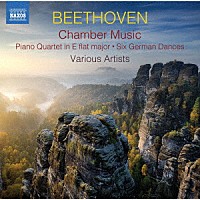 （クラシック）「 ベートーヴェン：室内楽作品秘曲集」