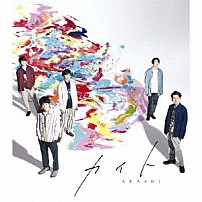 嵐 「カイト」