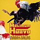 ＩＮＡＢＡ／ＳＡＬＡＳ「Ｍａｘｉｍｕｍ　Ｈｕａｖｏ」