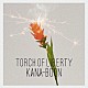 ＫＡＮＡ－ＢＯＯＮ「Ｔｏｒｃｈ　ｏｆ　Ｌｉｂｅｒｔｙ」