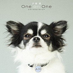 大塚愛「犬塚愛　Ｏｎｅ　ｏｎ　Ｏｎｅ　Ｃｏｌｌａｂｏｒａｔｉｏｎ」