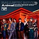 ＢＡＬＬＩＳＴＩＫ　ＢＯＹＺ　ｆｒｏｍ　ＥＸＩＬＥ　ＴＲＩＢＥ「Ａｎｉｍａｌ」