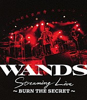 ＷＡＮＤＳ「 ＷＡＮＤＳ　Ｓｔｒｅａｍｉｎｇ　Ｌｉｖｅ　～ＢＵＲＮ　ＴＨＥ　ＳＥＣＲＥＴ～」