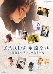 ＺＡＲＤ「ＺＡＲＤよ　永遠なれ　坂井泉水の歌はこう生まれた」