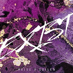 ＲＡＩＳＥ　Ａ　ＳＵＩＬＥＮ「ＥＸＩＳＴ」