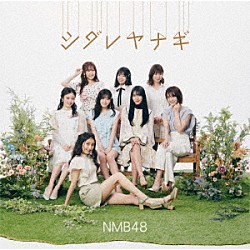 ＮＭＢ４８「シダレヤナギ」