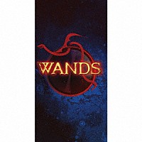 ＷＡＮＤＳ「 錆びついたマシンガンで今を撃ち抜こう／トライ・アゲイン」