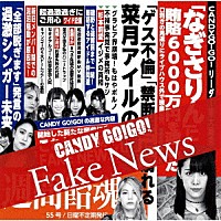 ＣＡＮＤＹ　ＧＯ！ＧＯ！「 Ｆａｋｅ　Ｎｅｗｓ」