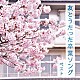 （童謡／唱歌） タンポポ児童合唱団 音羽ゆりかご会 ひばり児童合唱団 こどもの城児童合唱団 こどもの城混声合唱団 杉並児童合唱団 ひまわりキッズ「友とうたった卒業ソング　ベスト」