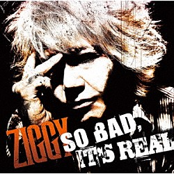 ＺＩＧＧＹ「ＳＯ　ＢＡＤ，　ＩＴ’Ｓ　ＲＥＡＬ」